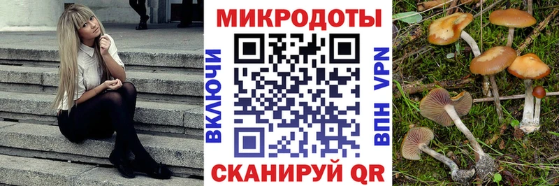 Псилоцибиновые грибы Psilocybine cubensis  Ковров 