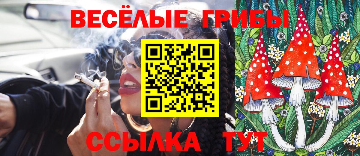 Ковров  Псилоцибиновые грибы MAGIC MUSHROOMS  Вход с VPN 
